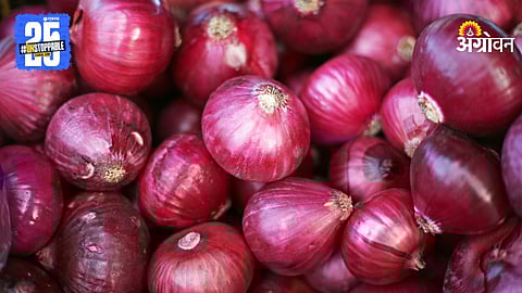 Onion