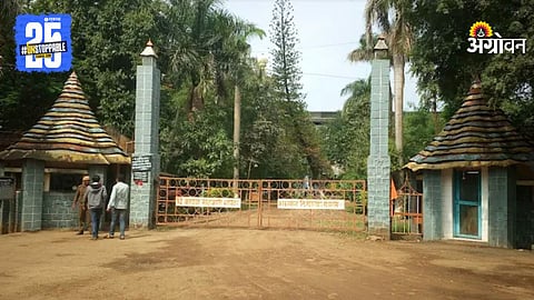 Kadwa Sugar Factory