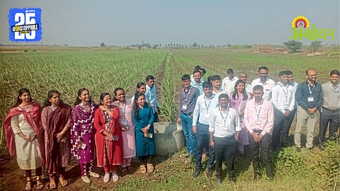 Saline Land Reclamation Project