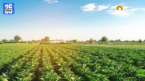 Genetic Editing Varieties