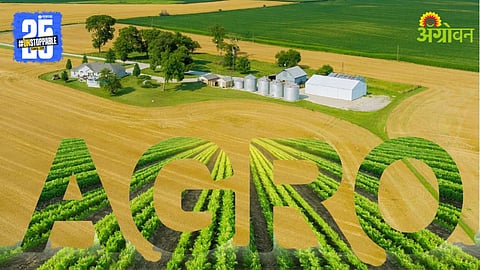 Agro Processing Industry