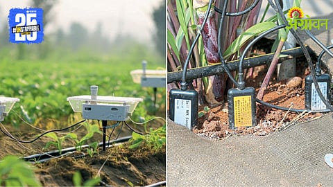 Food management and water planning through artificial intelligence based systems