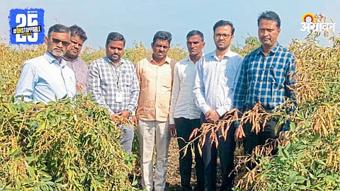 Farmer Participation