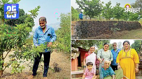 Fruit Orchard Farming