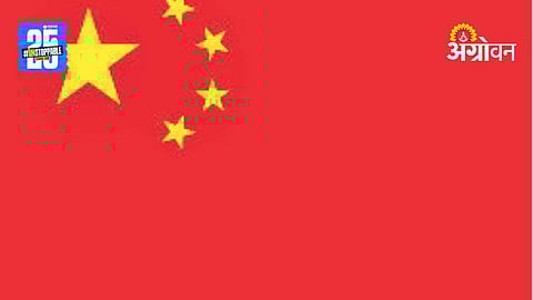 China agricultural policy