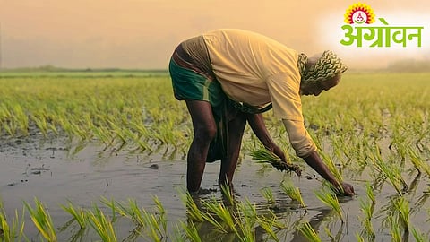 Kisan Samman Nidhi Hike