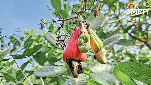 Climate Changes Impact