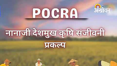 PoCRA Phase II funding 100.66 crore Maharashtra