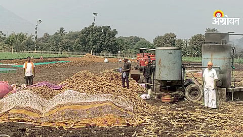 Impact of turmeric arrivals on market prices