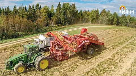 Mechanical harvesting systems for vegetable crops