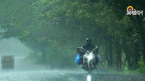 Rain forecast for 8 districts in Maharashtra today