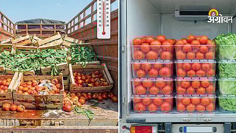 Impact of transport vibration on fresh produce quality
