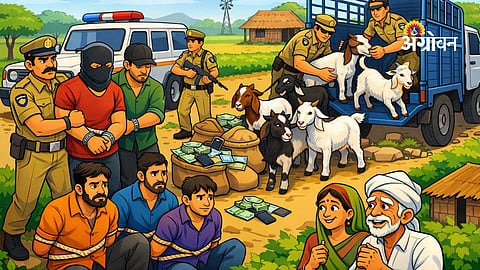 Goat theft gang caught Solapur Maharashtra
