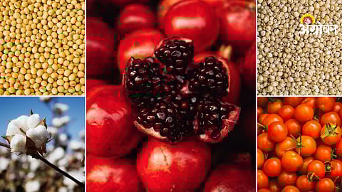 APMC Market Products Price