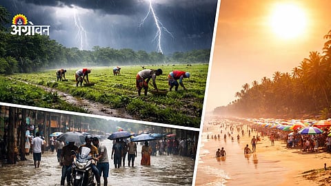 Vidarbha and Marathwada rain forecast weather update