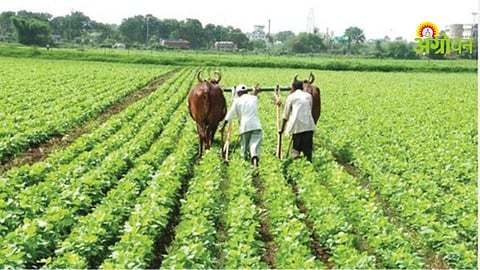 Corp Damage Compensation