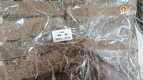 Indigenous Cattle Rearing Opens Multi-Income Opportunities