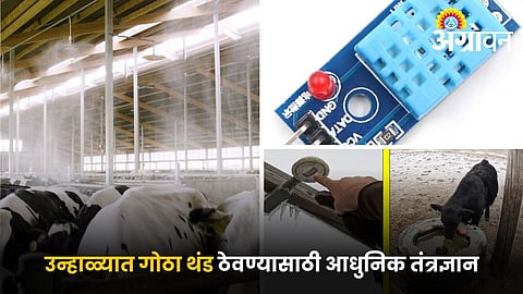 Best sensors for livestock heat stress management