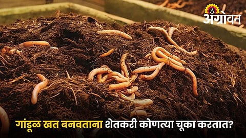 Mistakes in vermicomposting process