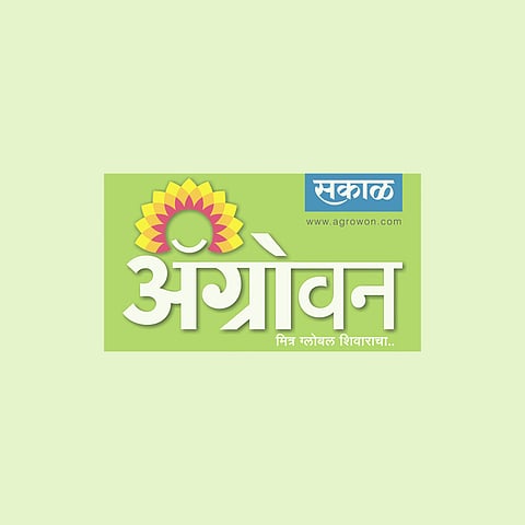 कसा करायचा रानडुक्करांचा बंदोबस्त ?