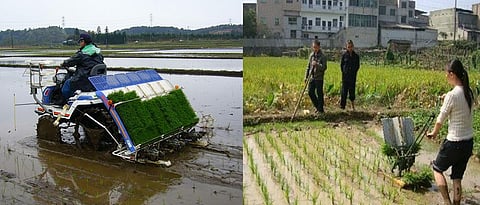 riding and Hand cranking type rice planting machine