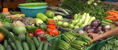 ‘Farm to Home’ activities within the limits of Amravati Municipal Corporation