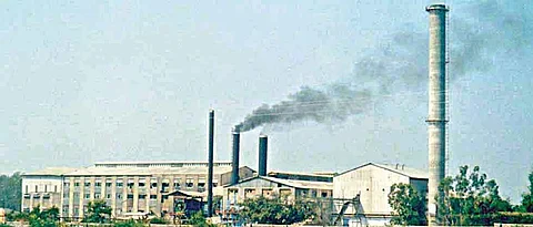 साखर कारखाना