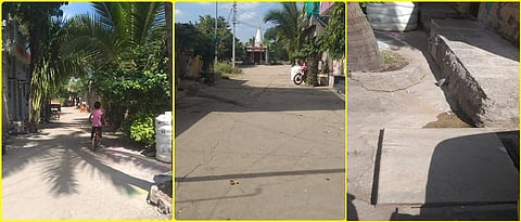 Tree planting on both sides of the road, cement concrete Road in the village and underground sewerage system