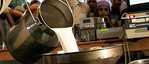 Milk a nutritious food