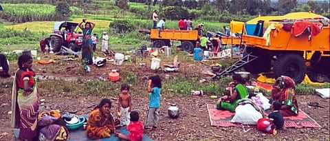 Sugarcane Harvesting