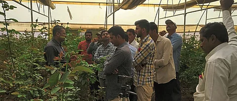 उच्च तंत्रज्ञानावर आधारित फुलशेती प्रशिक्षण कार्यक्रम सुरू