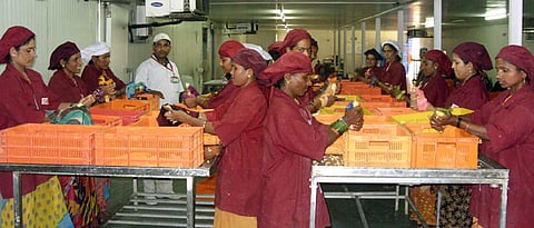 food processing