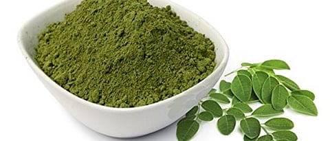 शेवगा पावडर