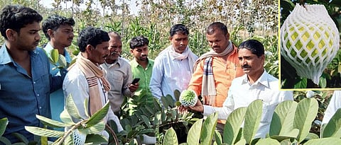 Sunil Salunkhe while guiding the farmers.