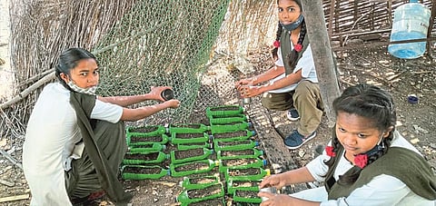 Students flower garden in plastic bottles
