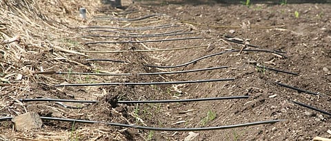 Drip, sprinkler irrigation subsidy increased: Chalavade