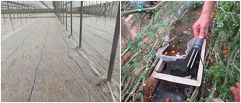 पहिल्या छायाचित्रात माती निर्जतुकीकरणासाठी आच्छादलेले प्लॅस्टिक. दुसऱ्या छायाचित्रात पाण्याची गरज सांगणारे सेन्सर्स