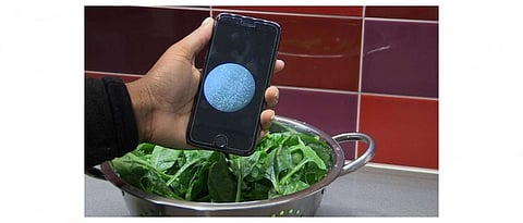 खाद्य, पाण्यातील जिवाणूंचा प्रादुर्भाव अोळखण्याची पद्धत विकसीत