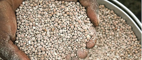 fertilizer