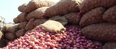 Onion Market
