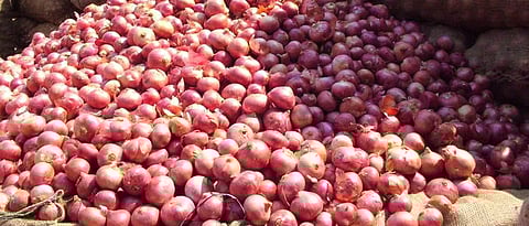 Onion Market