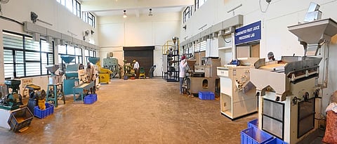 Agro-processing
