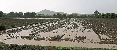 Rain Update