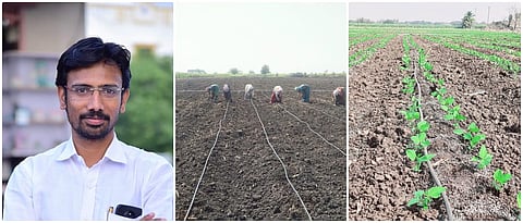 शेतकरी नियोजन उन्हाळी सोयाबीन