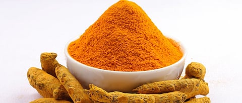 Turmeric Genome Sequencing