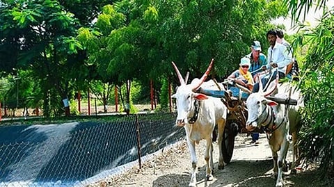 agri tourism