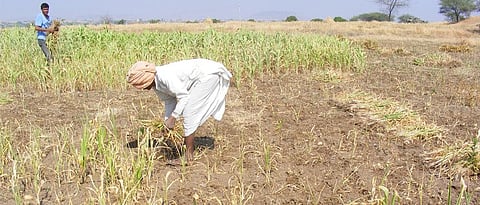 दारिद्र्यरेषेखालील घटकांना खासगी जमीन देण्यात येणार Factors below the poverty line Private land will be given