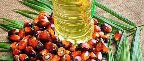 palm oil