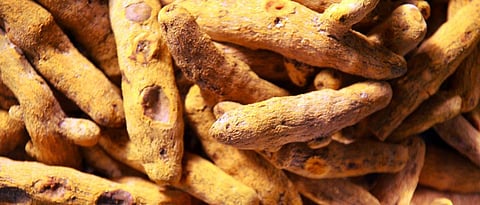 Hingoli The average price of turmeric is eight and a half thousand