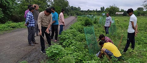 उच्चशिक्षित महिला सरपंचांनी गावात पेरला आत्मविश्वास Highly educated women sarpanches planted confidence in the village